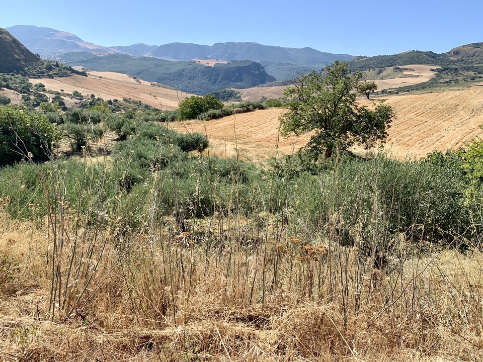 Rustico di campagna in Vendita a Bisacquino (Palermo)