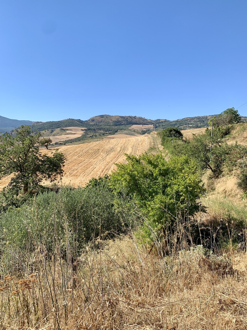 Rustico di campagna in Vendita a Bisacquino (Palermo)