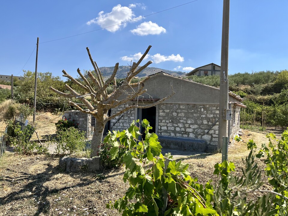 Terreno Agricolo in Vendita a Bisacquino (Palermo)