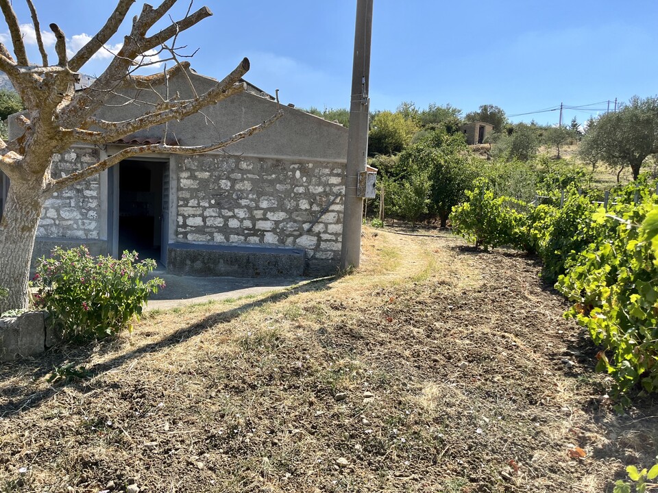 Terreno Agricolo in Vendita a Bisacquino (Palermo)