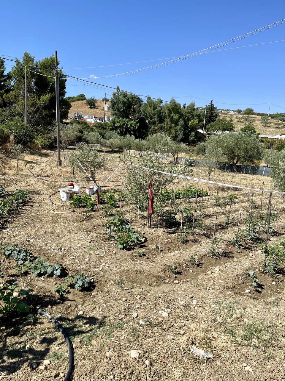 Terreno Agricolo in Vendita a Bisacquino (Palermo)
