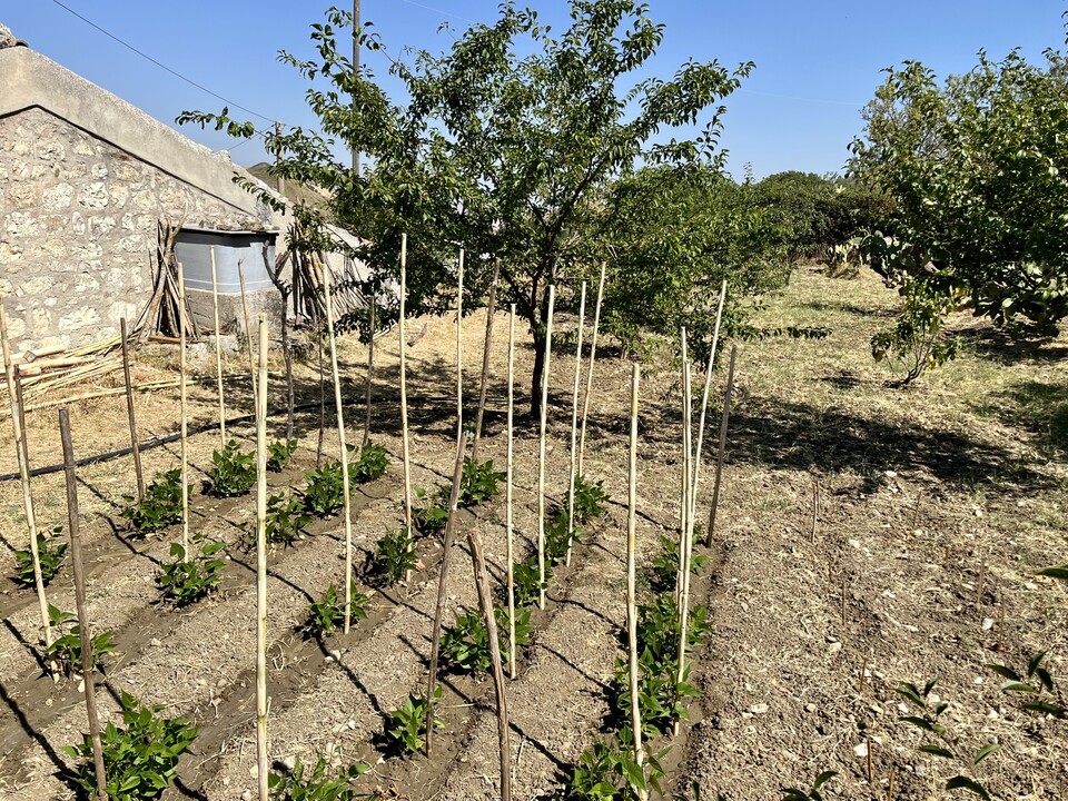 Terreno Agricolo in Vendita a Bisacquino (Palermo)