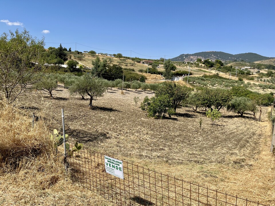 Terreno Agricolo in Vendita a Bisacquino (Palermo)