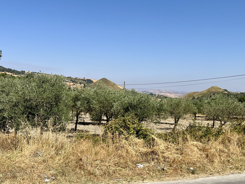 Terreno Agricolo in Vendita a Bisacquino (Palermo)
