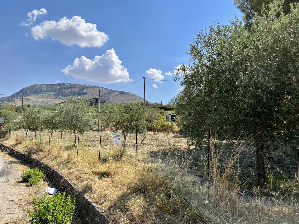 Terreno Agricolo in Vendita a Bisacquino (Palermo)