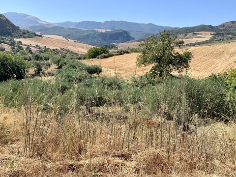 Rustico di campagna in Vendita a Bisacquino (Palermo)