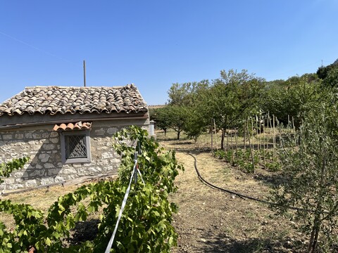 Terreno Agricolo in Vendita a Bisacquino (Palermo)