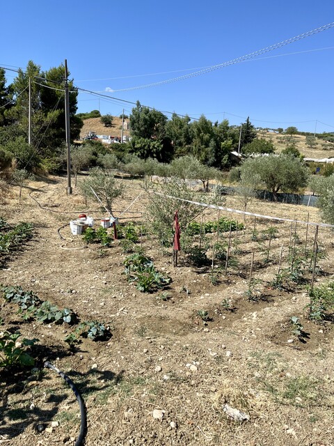 Terreno Agricolo in Vendita a Bisacquino (Palermo)