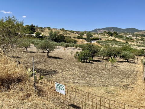 Terreno Agricolo in Vendita a Bisacquino (Palermo)