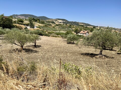 Terreno Agricolo in Vendita a Bisacquino (Palermo)