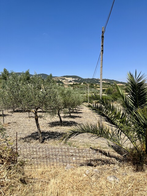 Terreno Agricolo in Vendita a Bisacquino (Palermo)