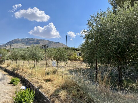 Terreno Agricolo in Vendita a Bisacquino (Palermo)