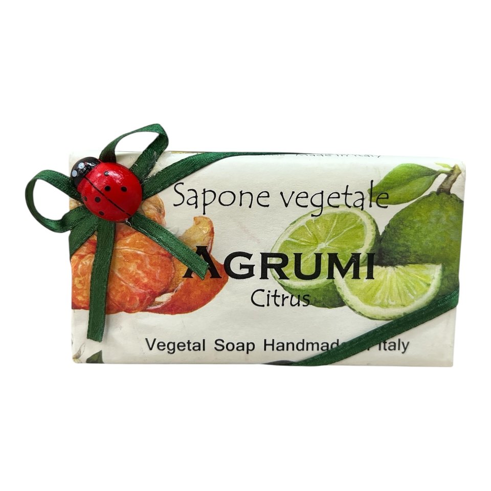 Sapone vegetale fatto a mano varie fragranze Produzione artigianale made in Italy 100gr