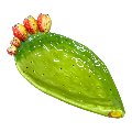 Svuota tasche/porta caramelle pala di fico d’india in ceramica siciliana decoro verde naturale Produzione artigianale di Caltagirone Lunghezza 22cm