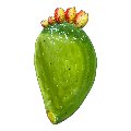 Svuota tasche/porta caramelle pala di fico d’india in ceramica siciliana decoro verde naturale Produzione artigianale di Caltagirone Lunghezza 22cm