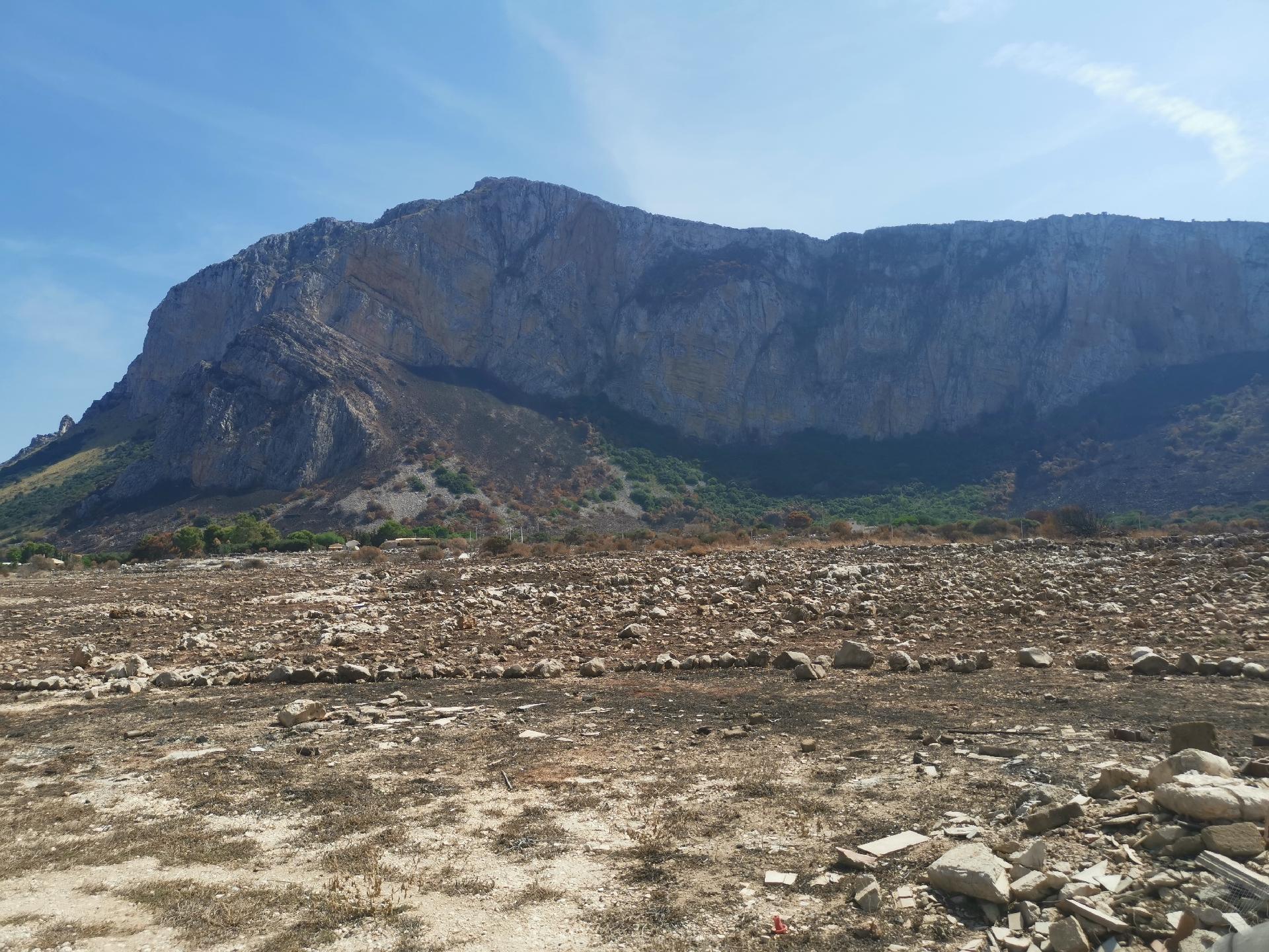 Terreno Agricolo in Vendita a Custonaci (Trapani)