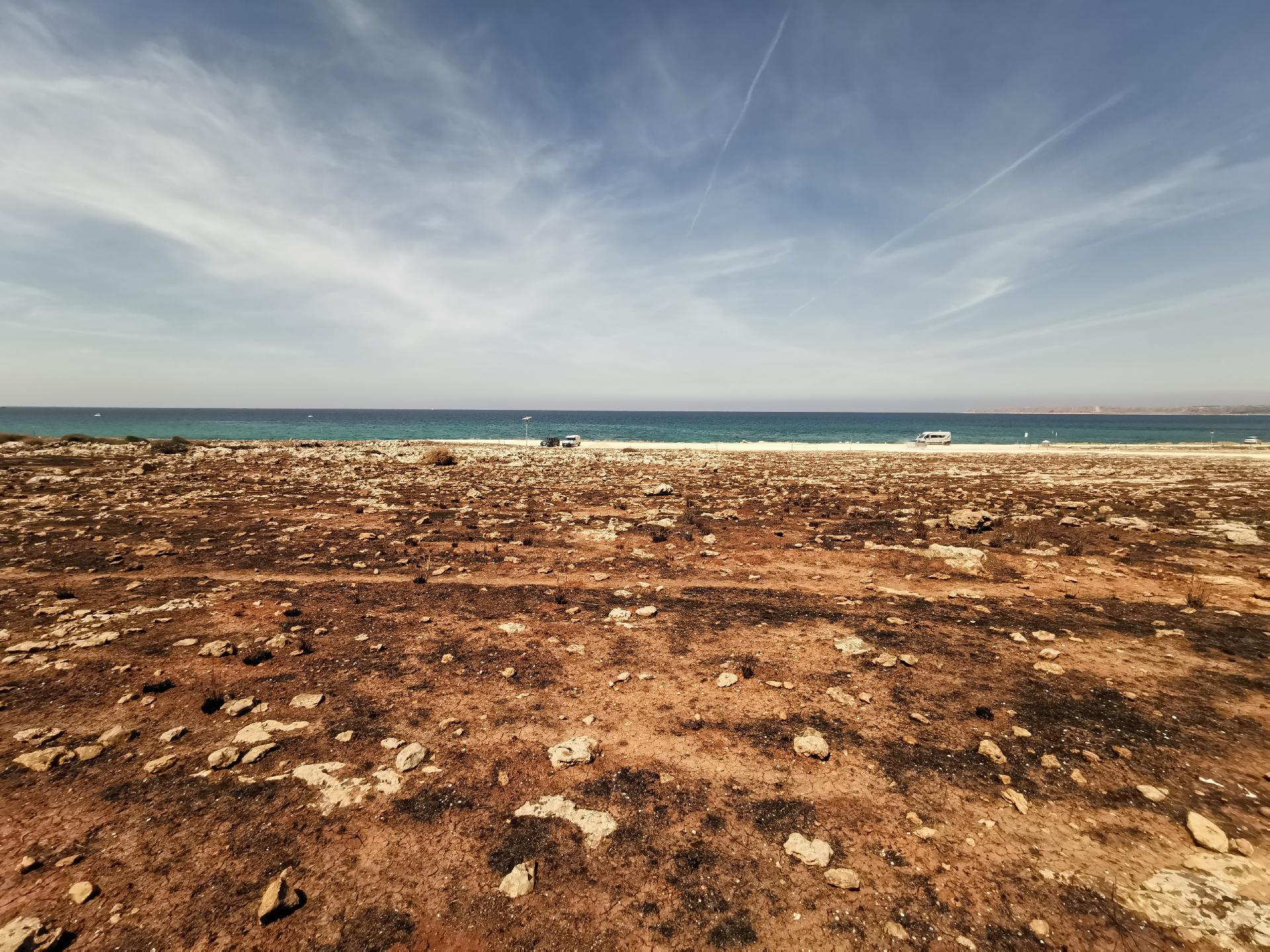 Terreno Agricolo in Vendita a Custonaci (Trapani)
