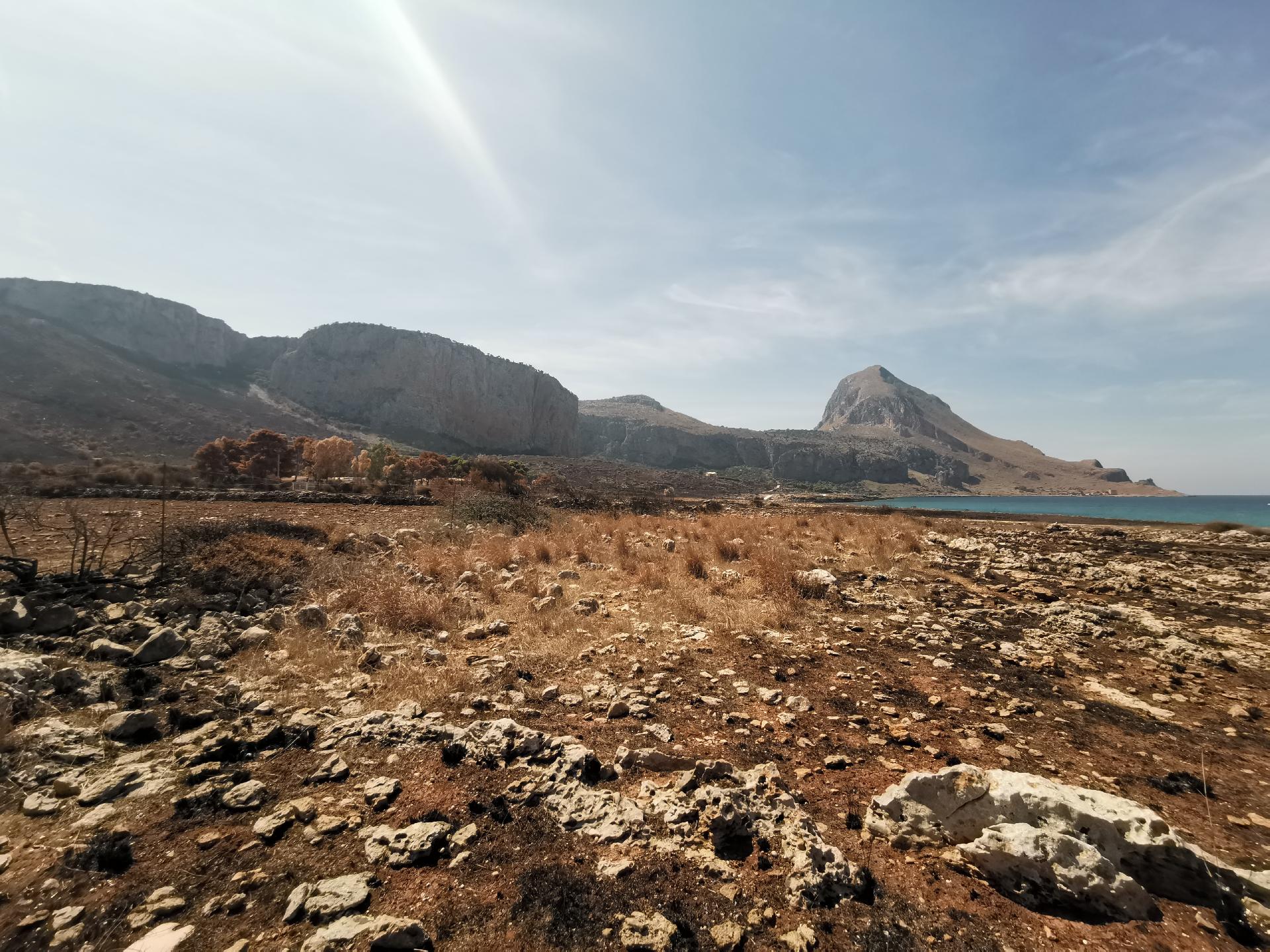 Terreno Agricolo in Vendita a Custonaci (Trapani)