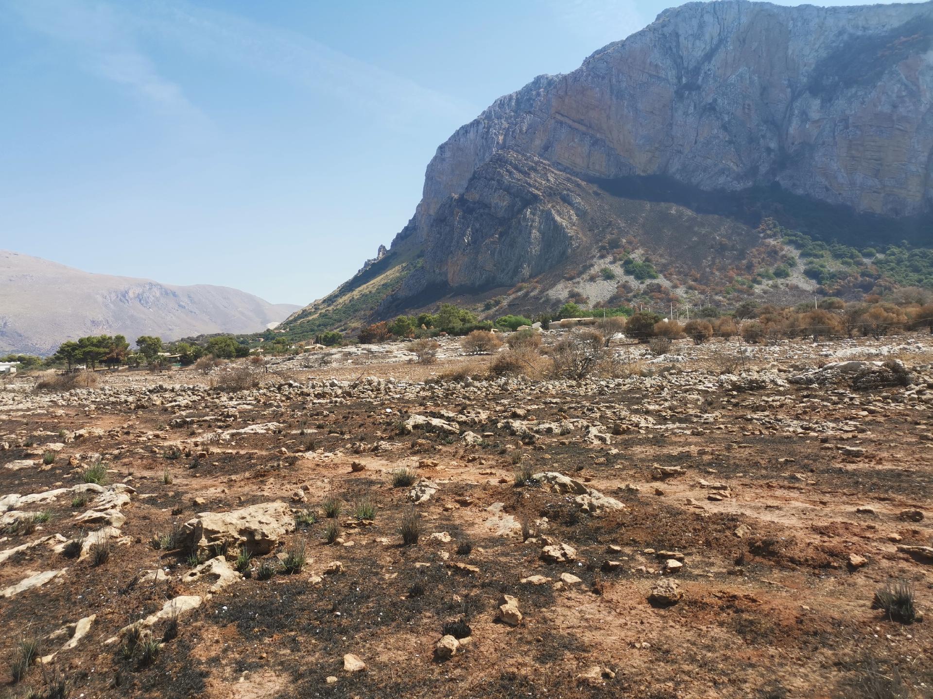 Terreno Agricolo in Vendita a Custonaci (Trapani)
