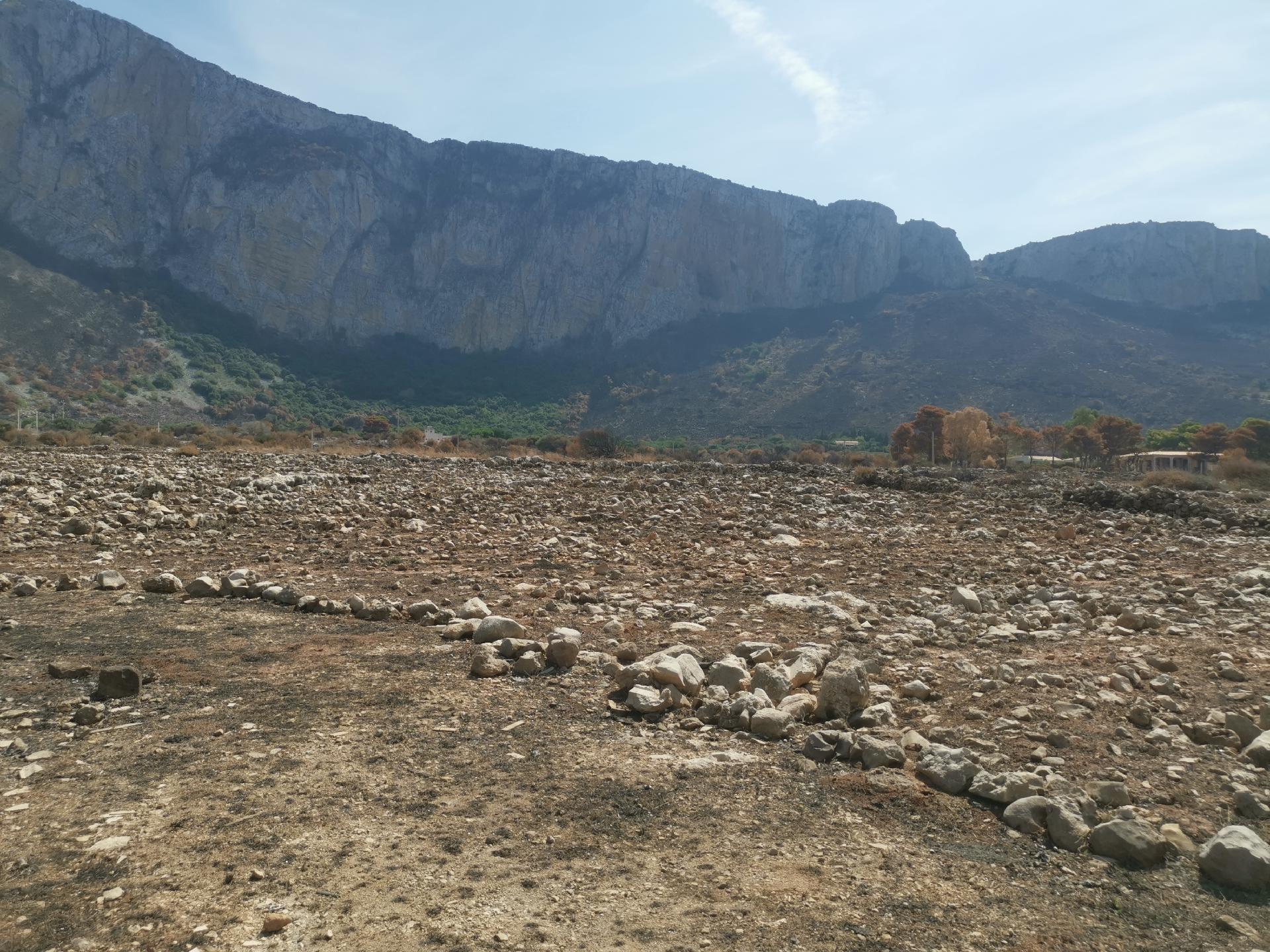 Terreno Agricolo in Vendita a Custonaci (Trapani)