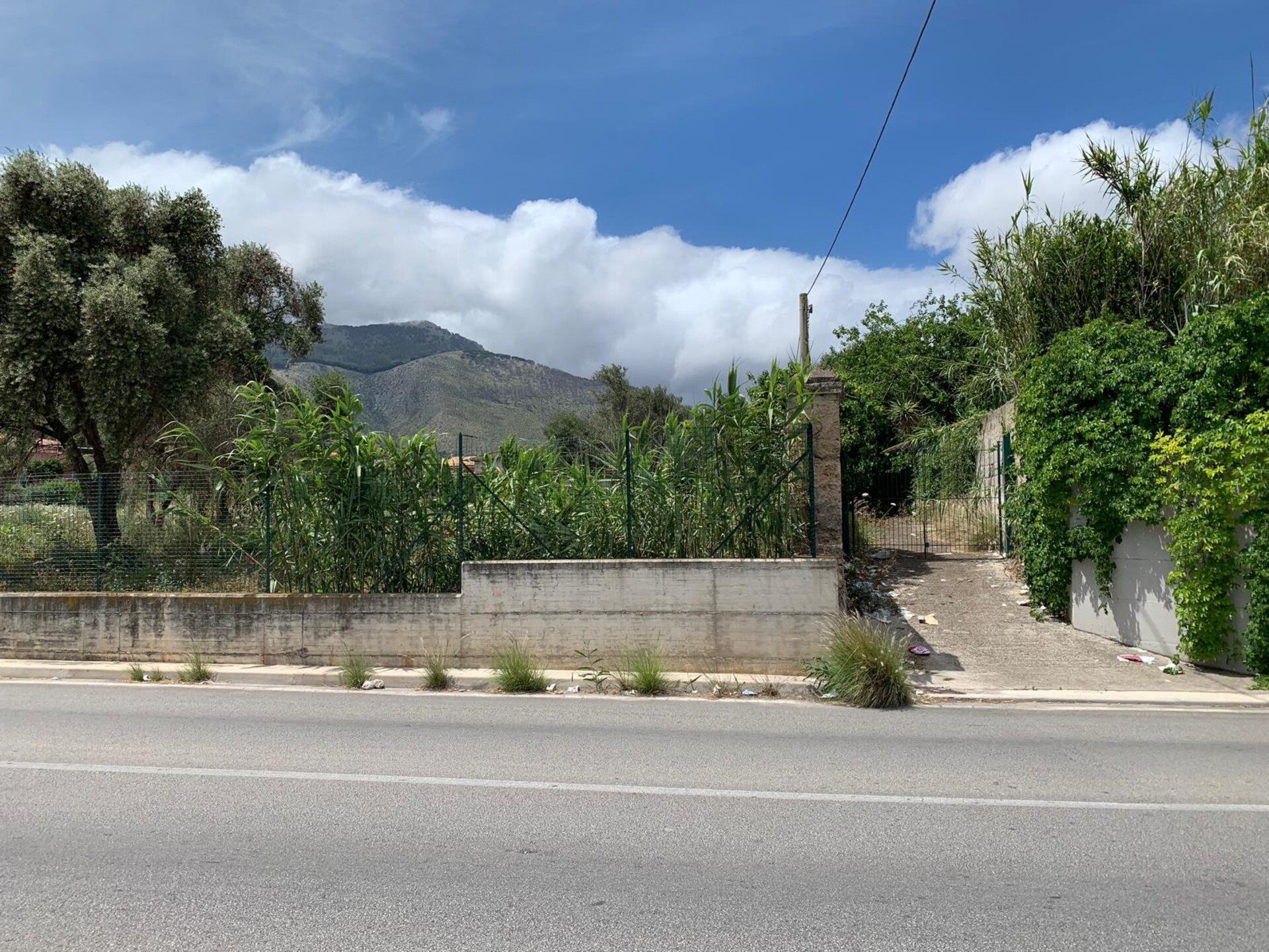Terreno Agricolo in Vendita a Palermo Cardillo