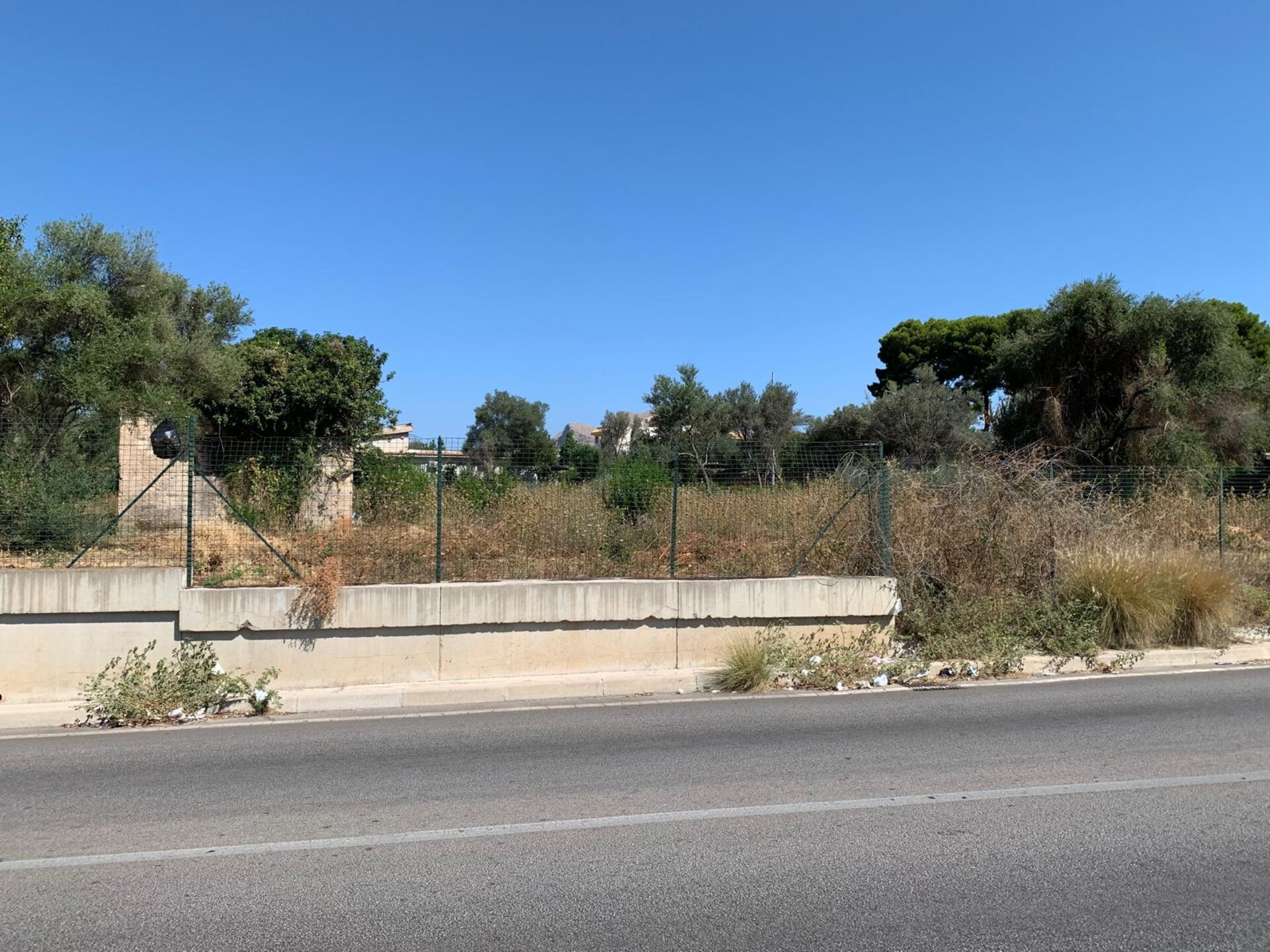 Terreno Agricolo in Vendita a Palermo Cardillo