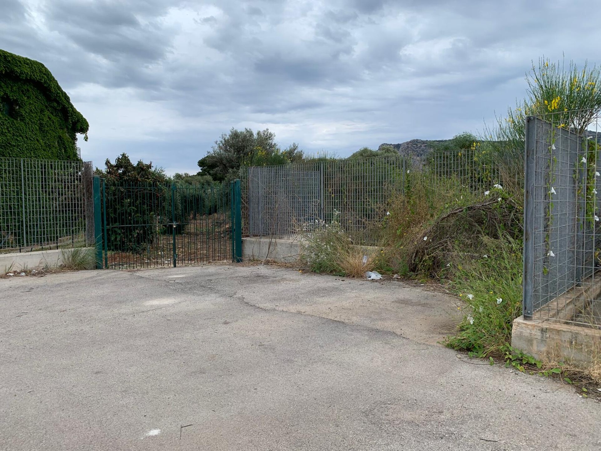 Terreno Agricolo in Vendita a Palermo Cardillo