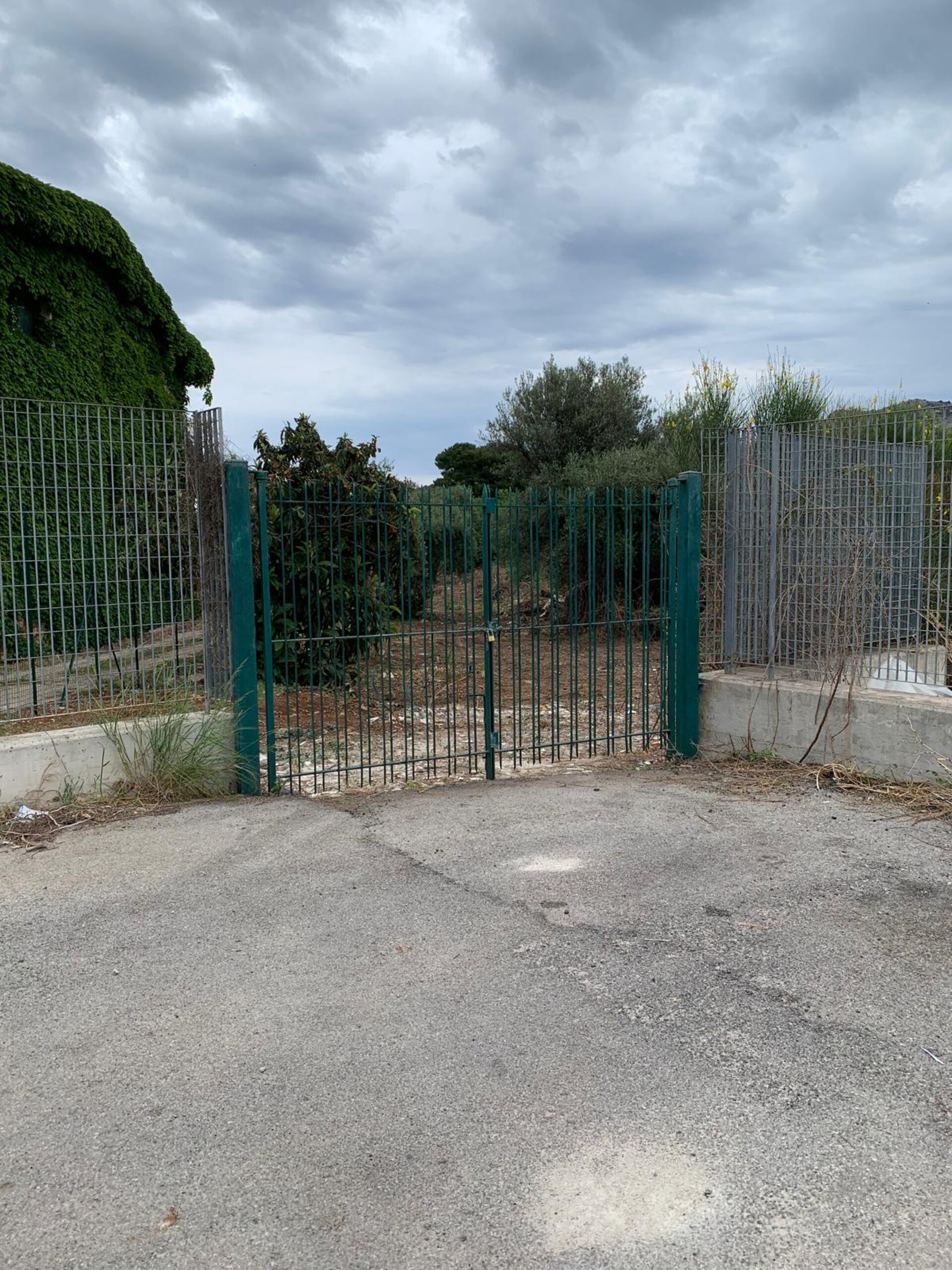 Terreno Agricolo in Vendita a Palermo Cardillo