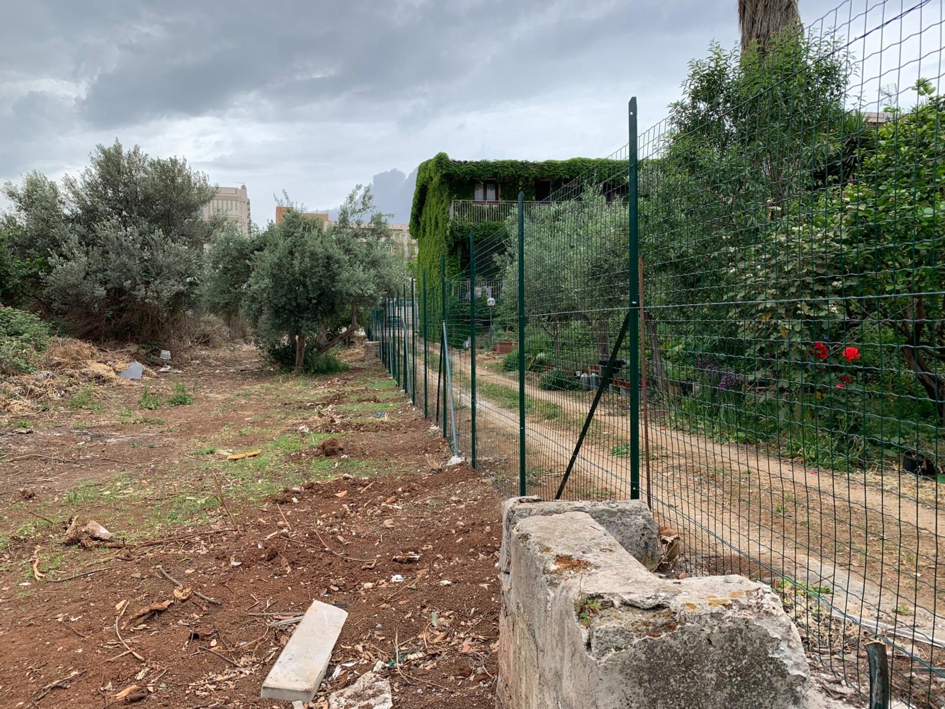 Terreno Agricolo in Vendita a Palermo Cardillo