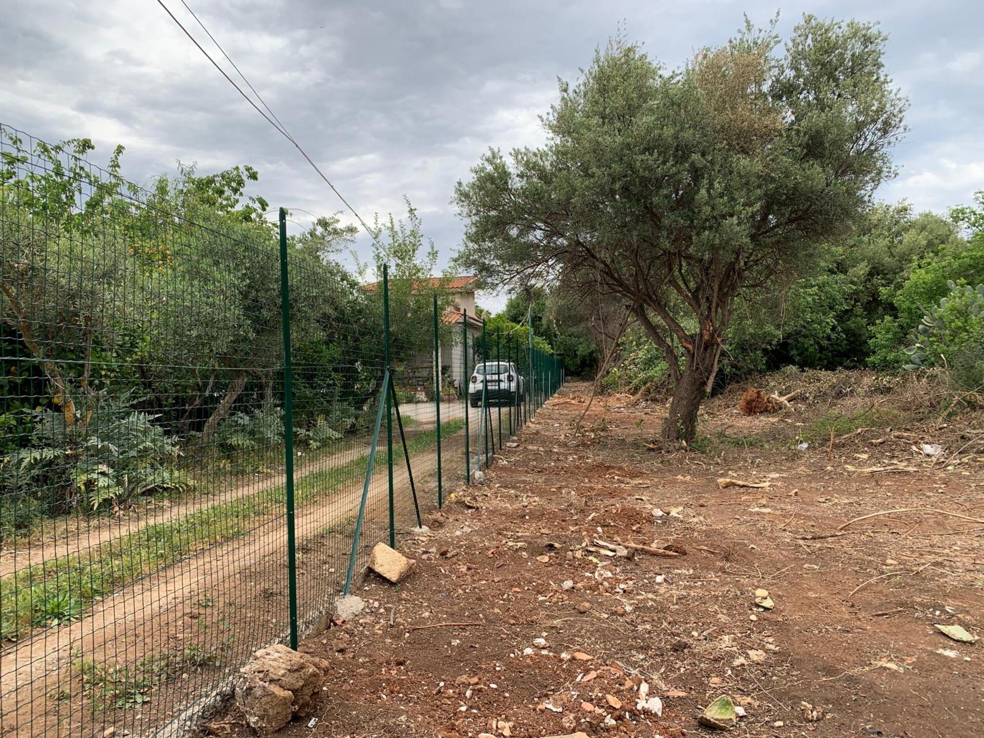 Terreno Agricolo in Vendita a Palermo Cardillo