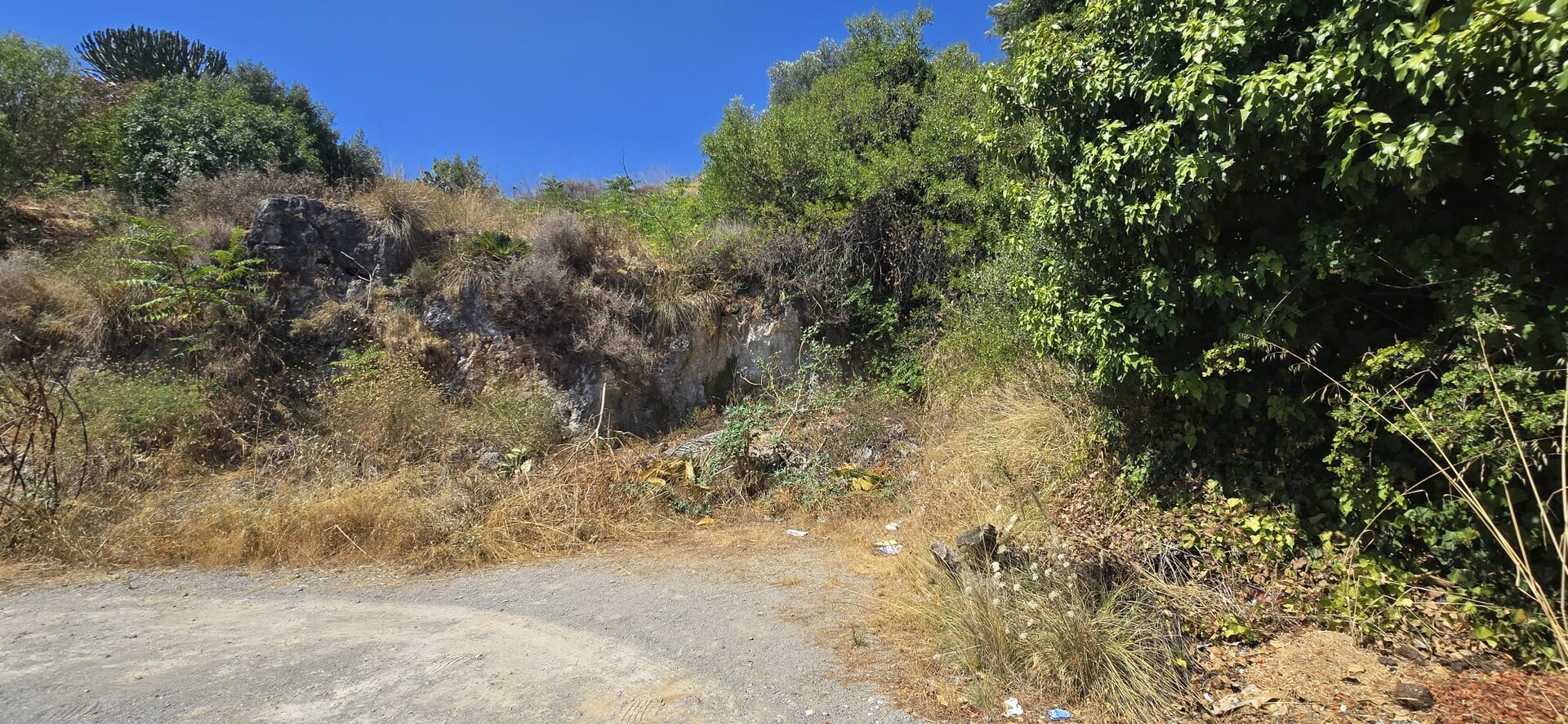 Terreno Edificabile in Vendita a Palermo Tommaso Natale