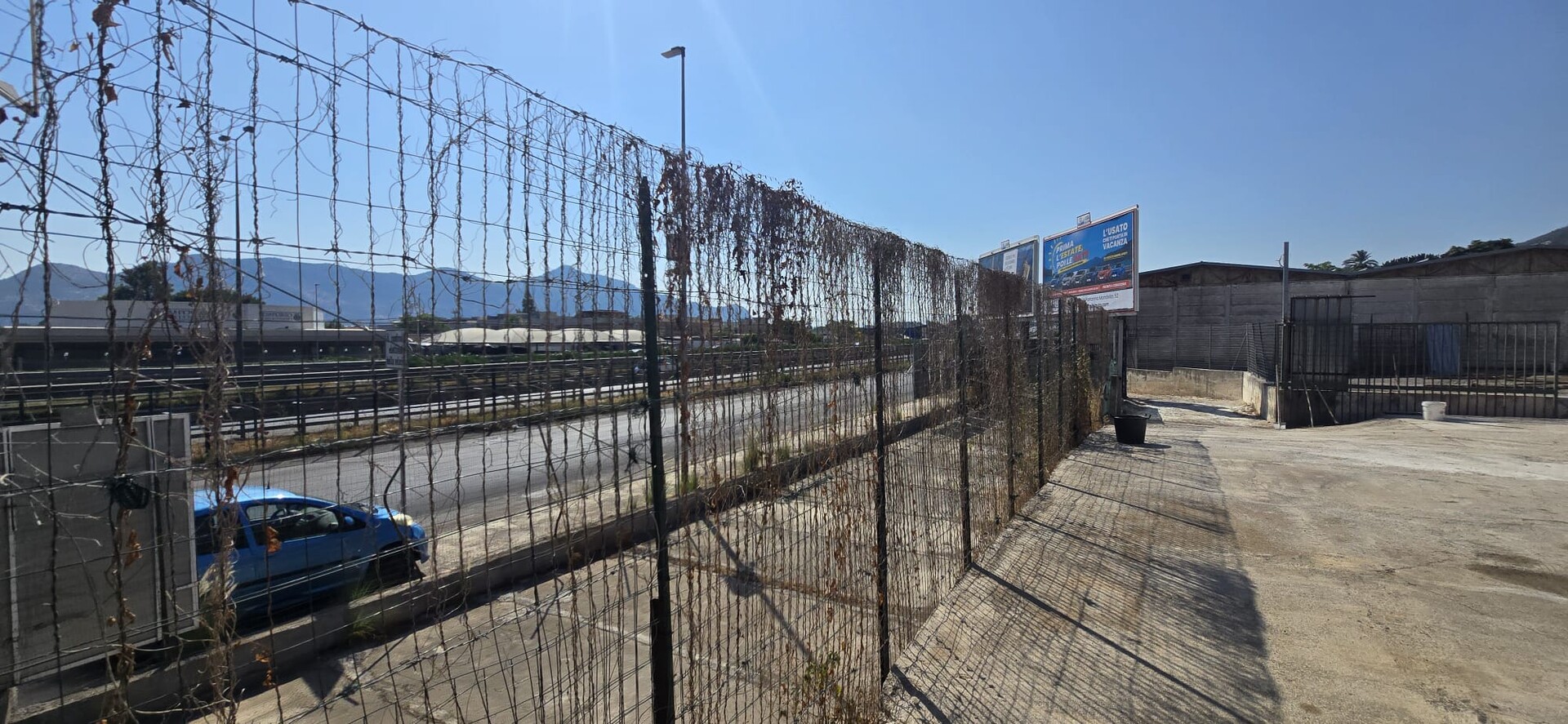 Terreno Agricolo in Affitto a Palermo Cardillo