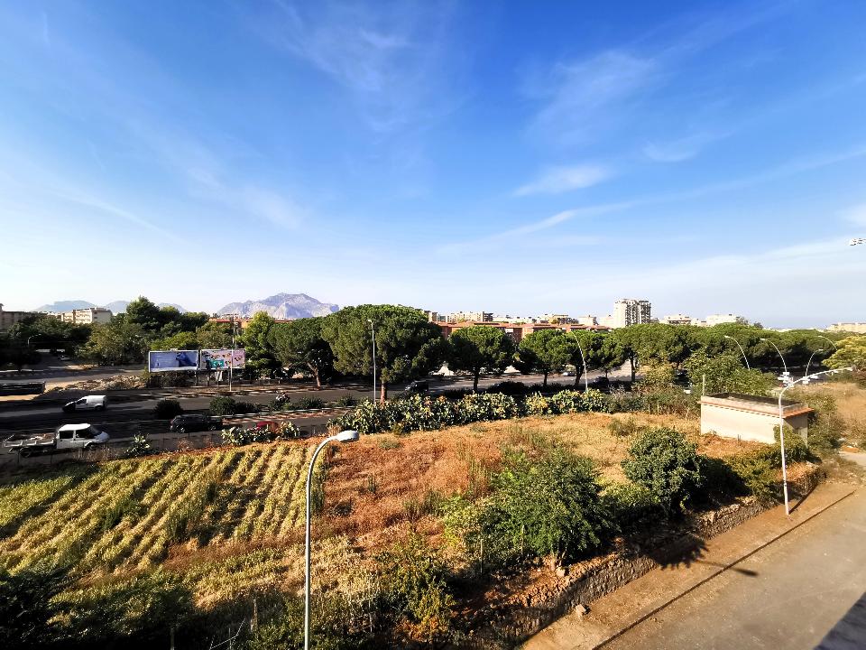 Appartamento in Vendita a Palermo Bonagia Falso Miele