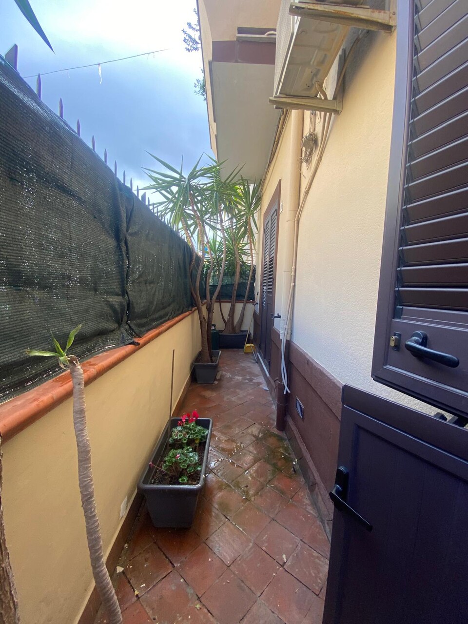 Appartamento in Affitto a Palermo Cardillo