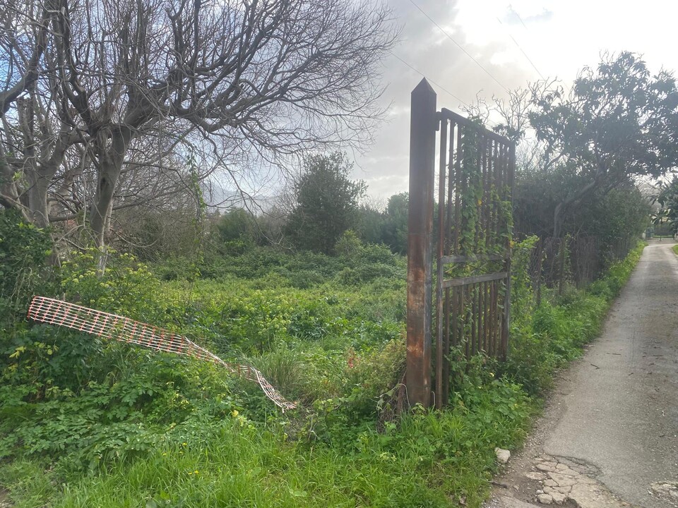 Terreno Agricolo in Vendita a Palermo Tommaso Natale