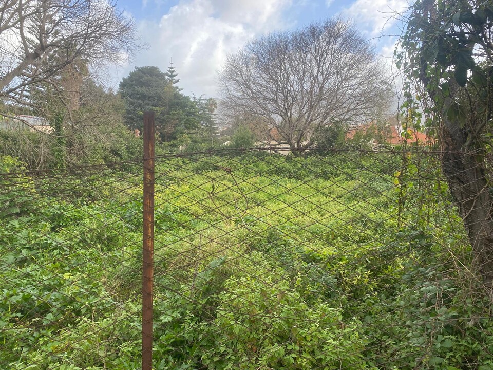 Terreno Agricolo in Vendita a Palermo Tommaso Natale