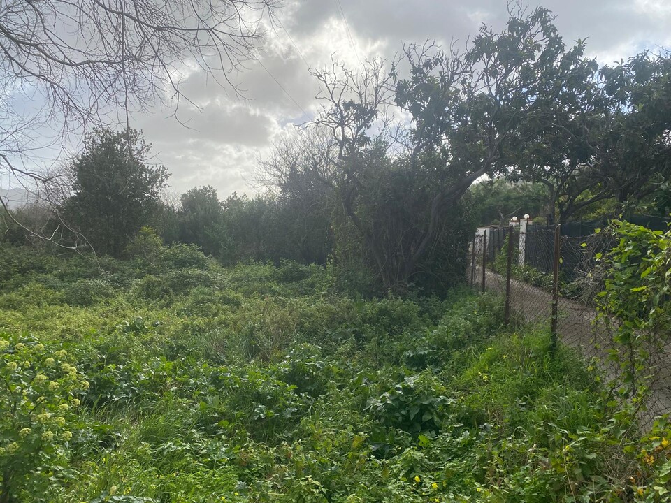 Terreno Agricolo in Vendita a Palermo Tommaso Natale