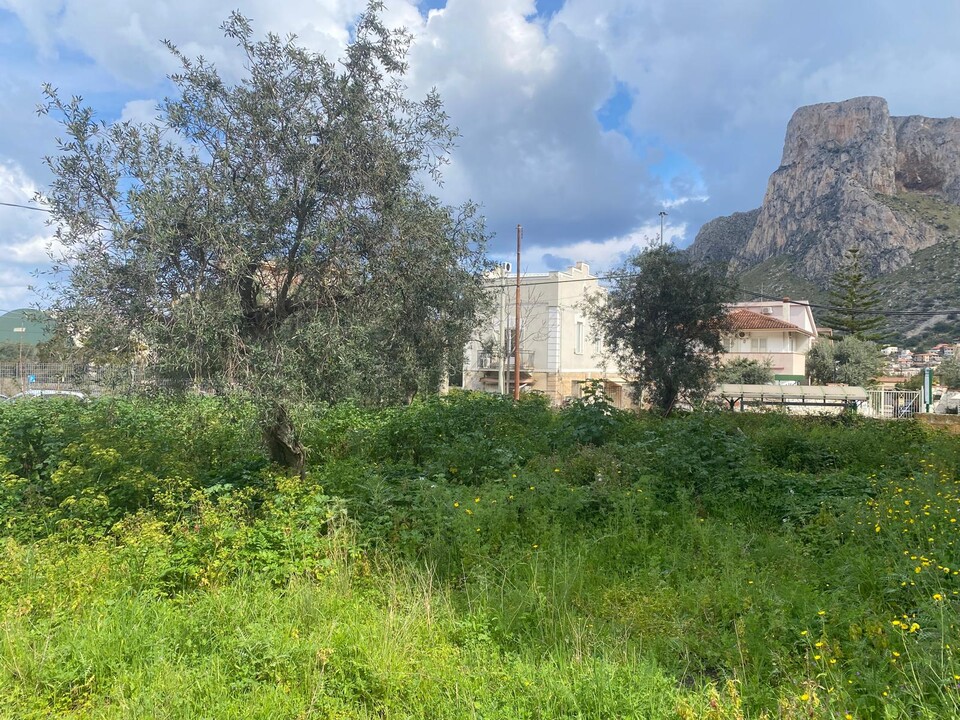 Terreno Edificabile in Vendita a Palermo Sferracavallo