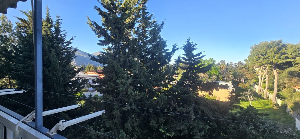 Appartamento in Vendita a Palermo Cardillo