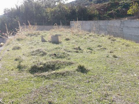 Terreno Agricolo in Vendita a Palermo Tommaso Natale