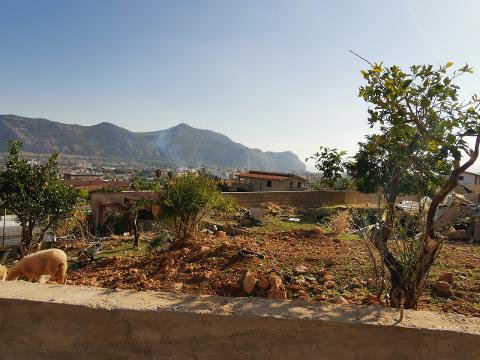 Terreno Agricolo in Vendita a Palermo