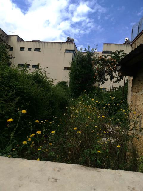 Appartamento in Vendita a Palermo Cardillo