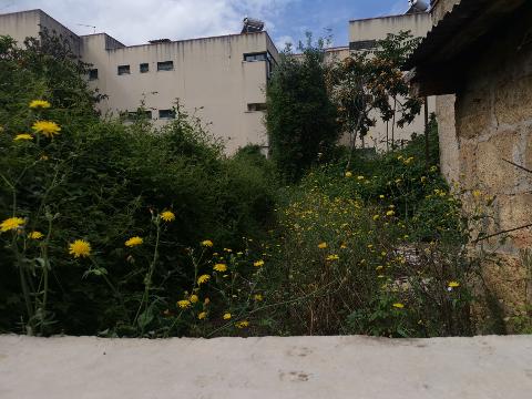 Appartamento in Vendita a Palermo Cardillo