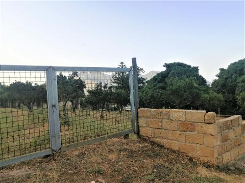 Terreno Agricolo in Vendita a Palermo