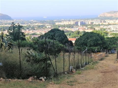 Terreno Agricolo in Vendita a Palermo