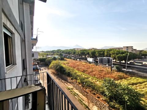 Appartamento in Vendita a Palermo Bonagia Falso Miele