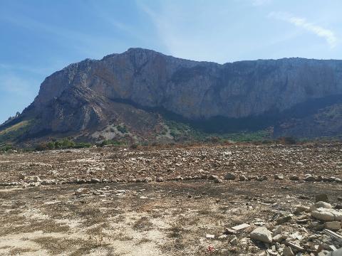 Terreno Agricolo in Vendita a Custonaci (Trapani)