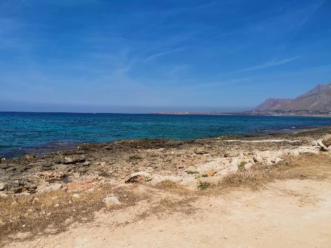 Terreno Agricolo in Vendita a Custonaci (Trapani)