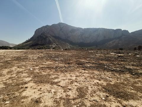 Terreno Agricolo in Vendita a Custonaci (Trapani)