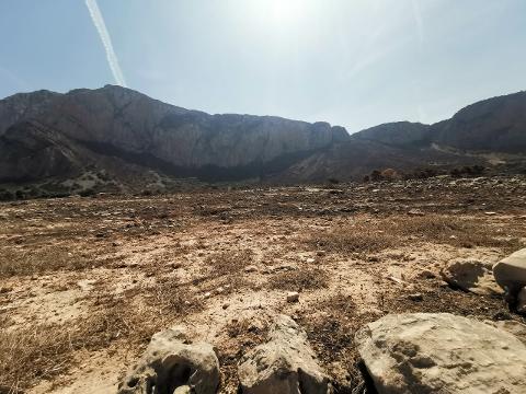 Terreno Agricolo in Vendita a Custonaci (Trapani)